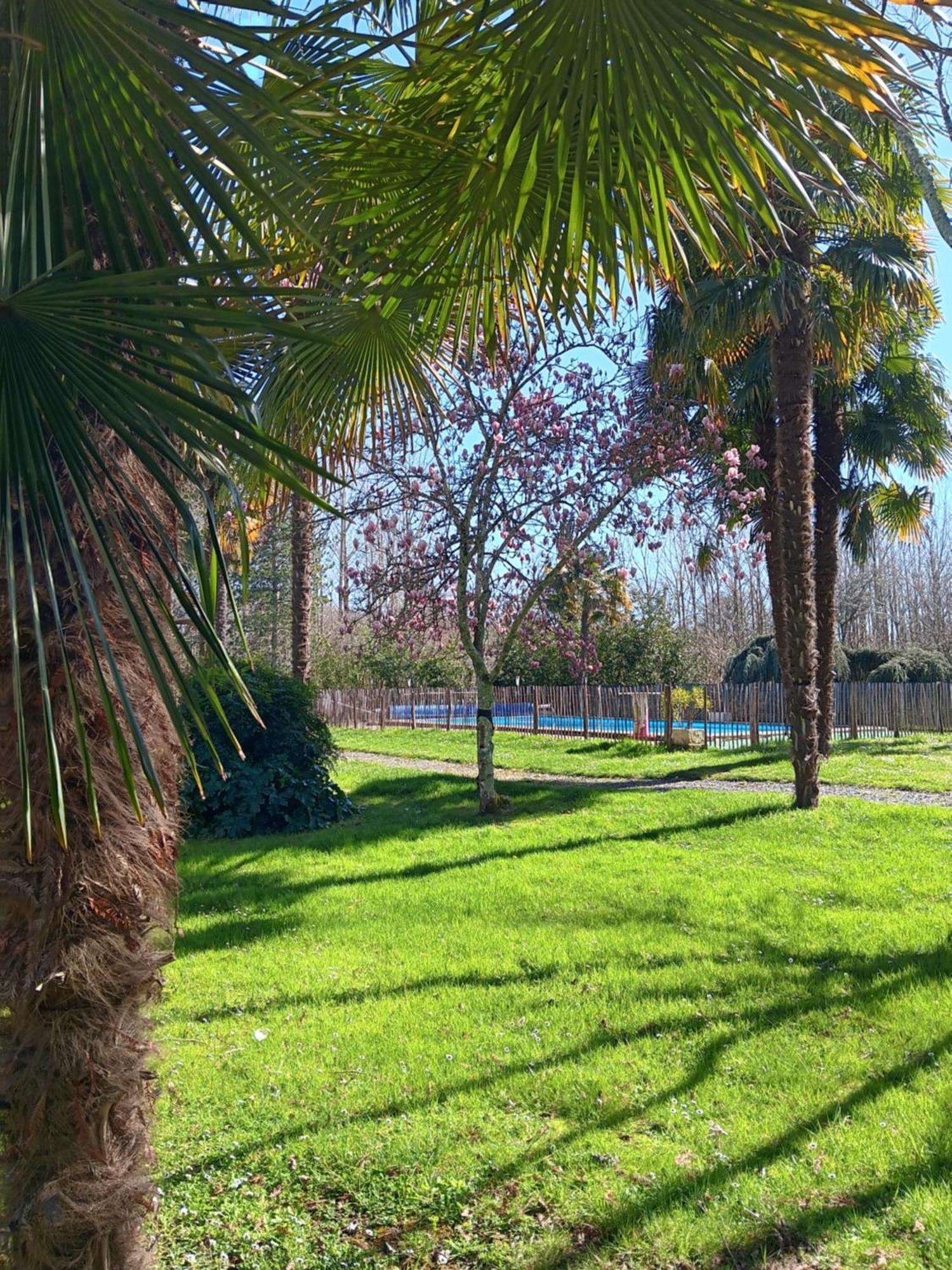 Gite Au Moulin Du Comte Bourrouillan المظهر الخارجي الصورة